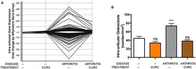 Perspective on Improving the Relevance, Rigor, and Reproducibility of Botanical Clinical Trials: Lessons Learned From Turmeric Trials